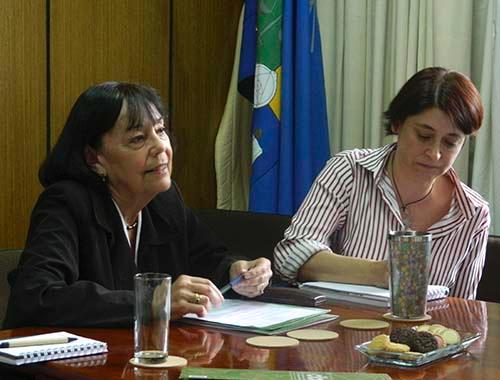 La decana, Carmen Luz de la Maza, fue la encargada de dirigir la reunión.