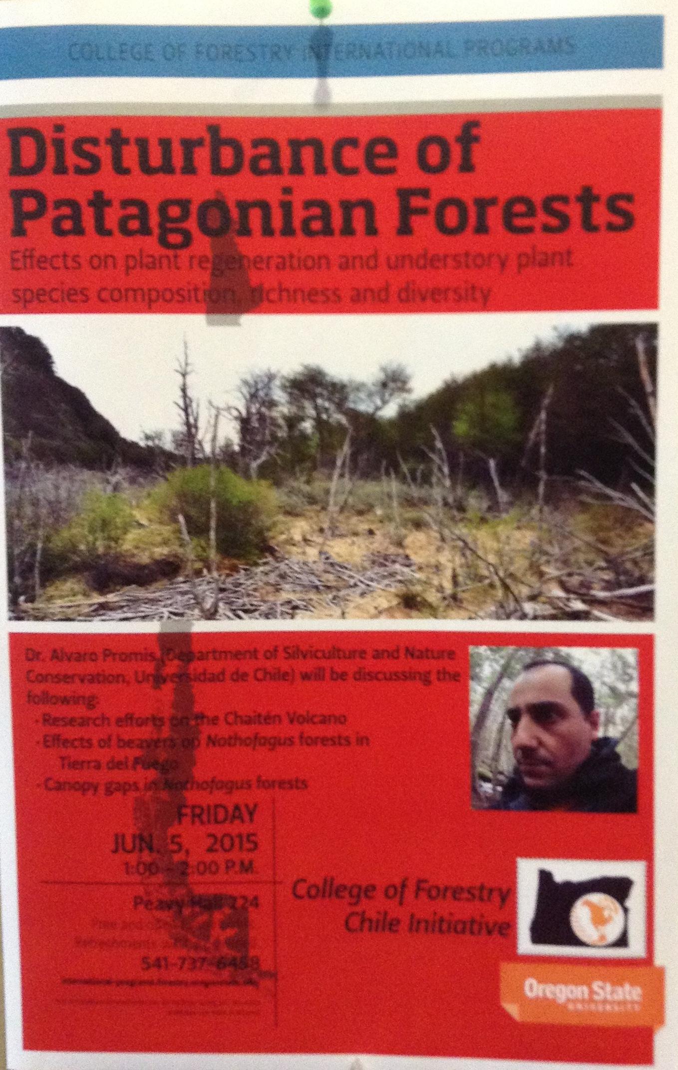afiche charla "Disturbance of Patagonian Forests: Effects on plant regeneration and understory plant species composition, richness and diversity"