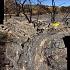Zona afectada por incendios forestales sector Pichidegua