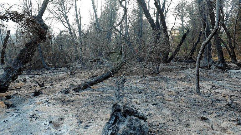 Con los incendios se destruye el rol que cumple la vegetación, por ejemplo la escorrentía es de un 97% pero además se suma un gran volumen de sedimentos.