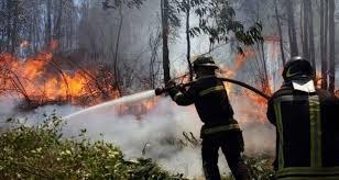 Si bien este año a la fecha han habido más incendios forestales, la extensión de daño ha sido mucho más acotada. 