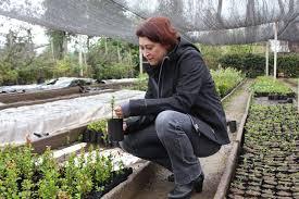 La profesora Karen Peña, una de las docentes de la carrera en el vivero Antumapu ubicado en la Facultad junto con un Arboretum.