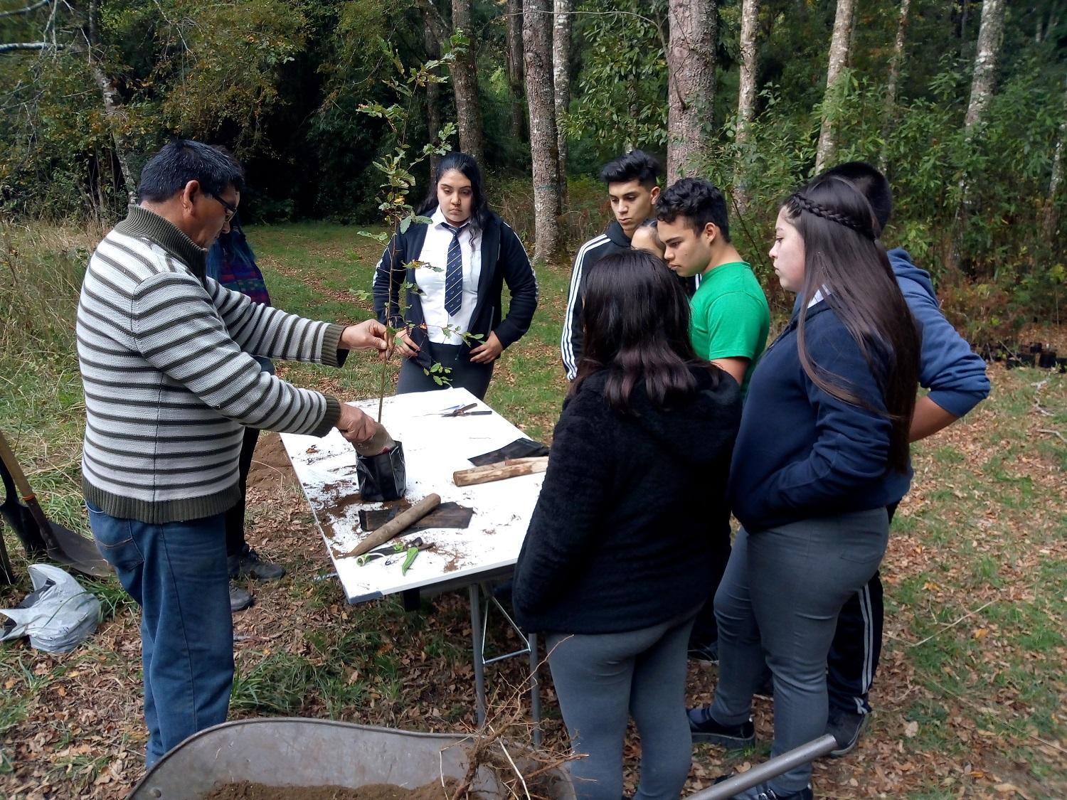 En su elaboración y ejecución, participaron los estudiantes de Ingeniería Forestal de la Universidad de Chile.