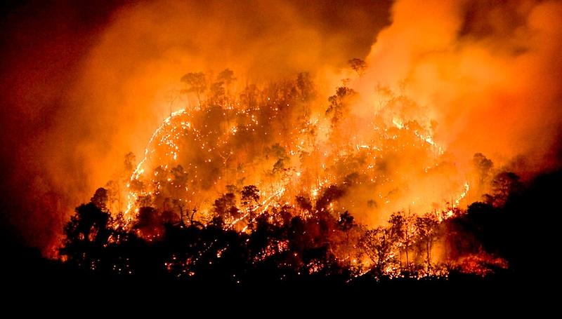 La ocurrencia media de incendios forestales en Chile es de 5.800 a 6.300 eventos por año, aunque en períodos de mayor ocurrencia puede llegar a los 6.800 o 7.000 incendios anuales.