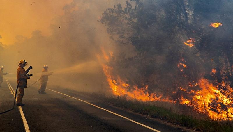 Hoy existen más de 40 zonas sensibles a la ocurrencia de incendios forestales en la zona centro-sur del país, entre las que se cuentan 29 comunas críticas, como Concepción, Valparaíso y Melipilla.