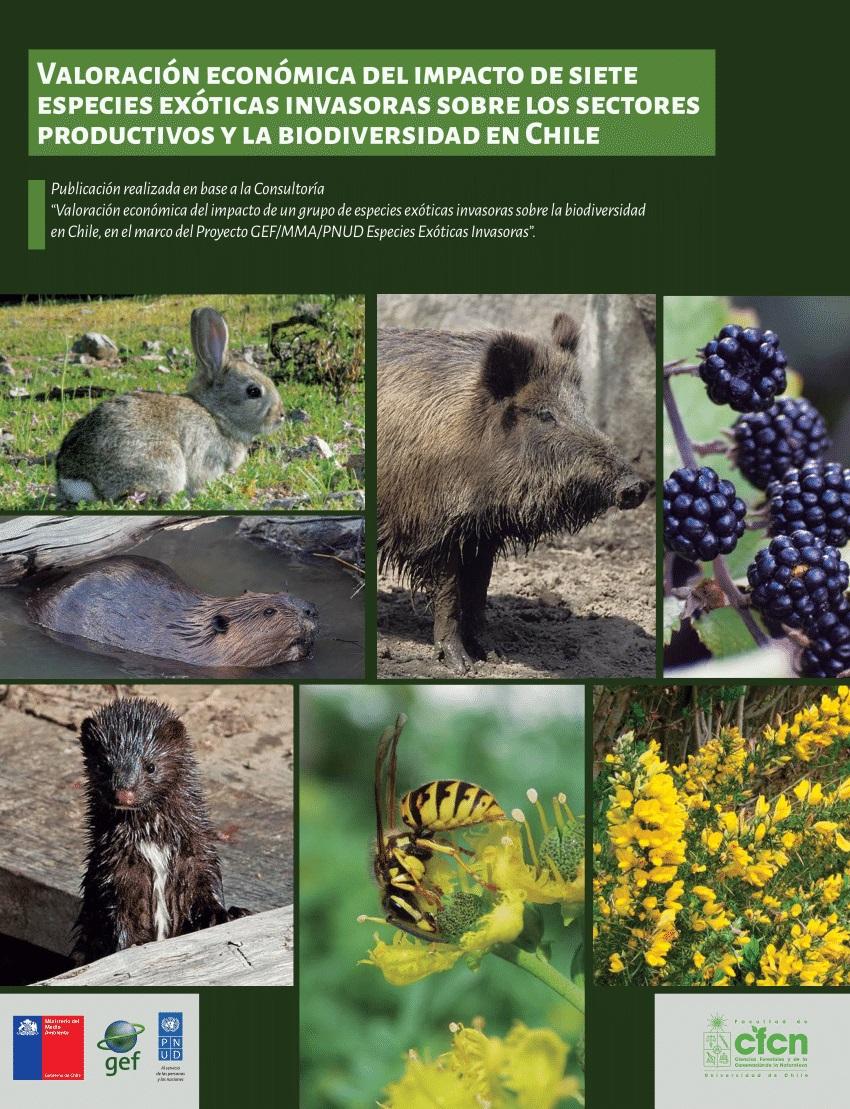 El equipo a cargo del estudio también realizaron la investigación "Valoración económica del impacto a los sectores productivos y biodiversidad en Chile de siete especies exóticas invasoras".
