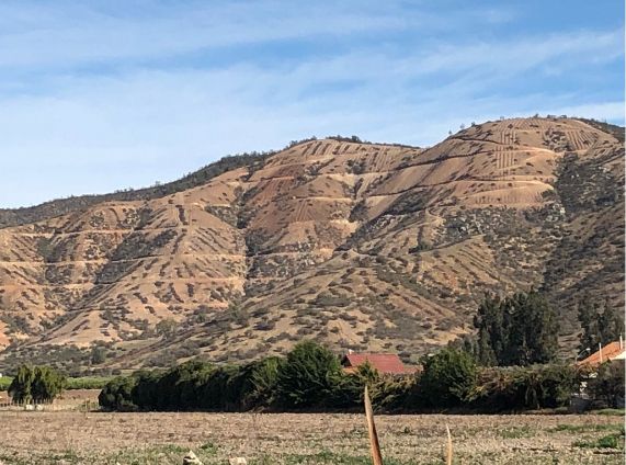 Las formaciones xerofíticas se encuentran principalmente en las zonas más áridas y semiáridas de Chile.