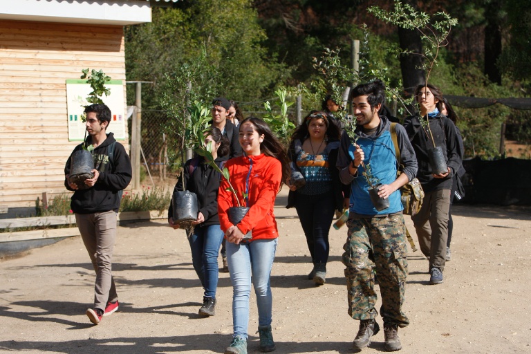 La reforestación con especies nativas involucró la participación de estudiantes.